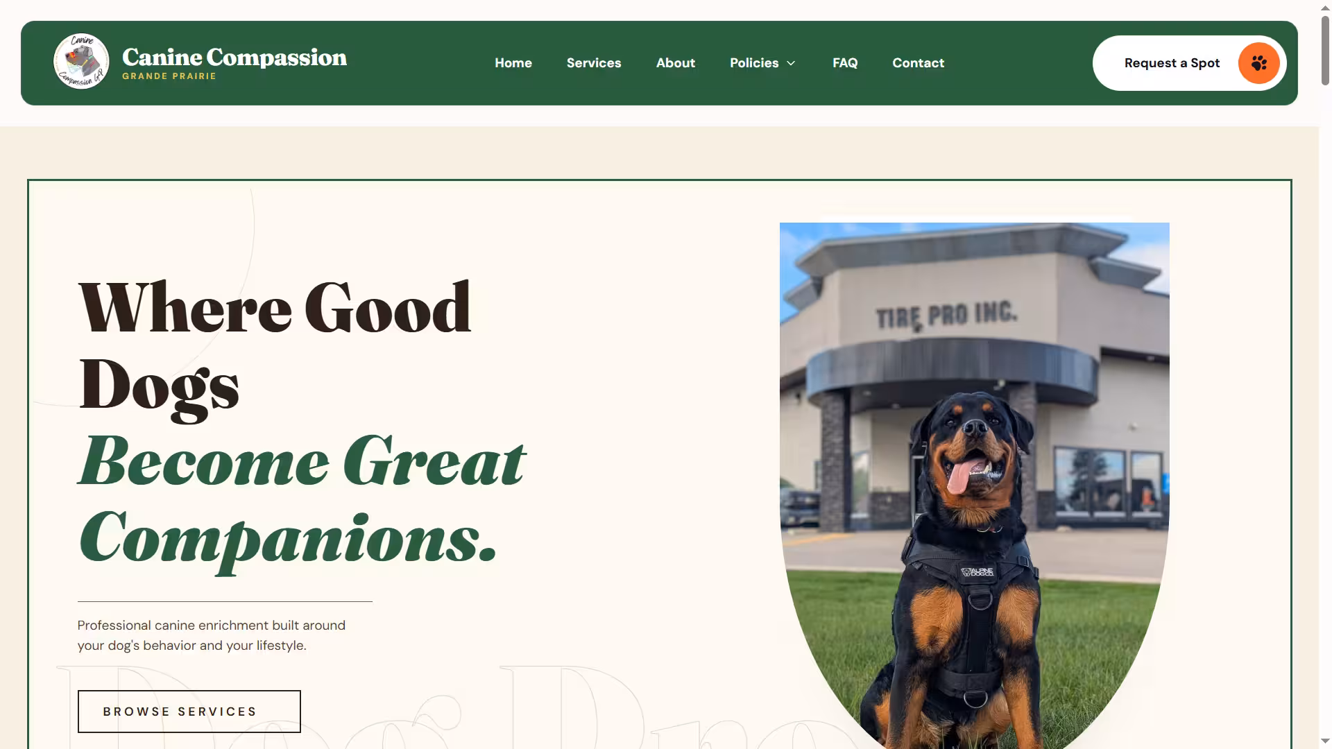 Website for dog trainer